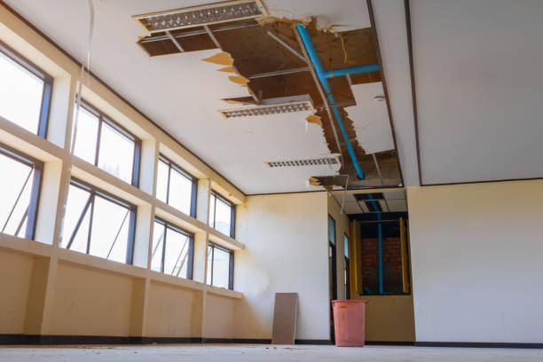 Best Water damage restoration services  in Elmhurst, IL