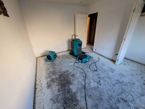Best Ceiling water damage repair  in Elmhurst, IL