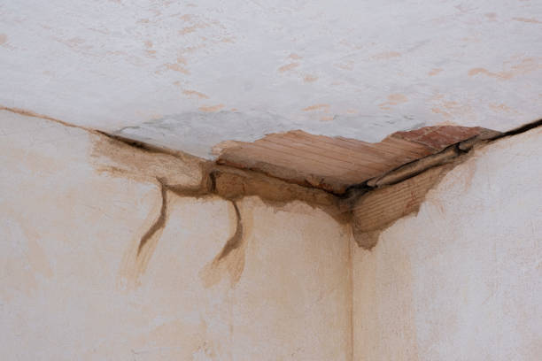 Best 24-hour water damage restoration  in Elmhurst, IL
