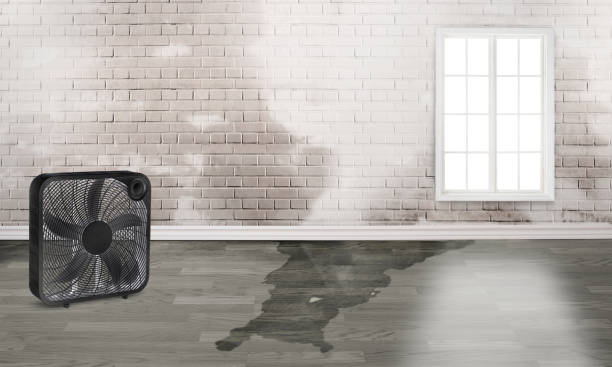 Best Sewage cleanup and water damage restoration  in Elmhurst, IL