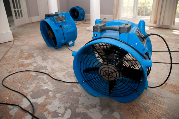 Best Flood restoration services  in Elmhurst, IL