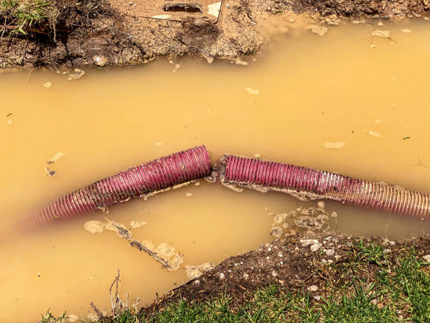 Best Commercial water damage restoration  in Elmhurst, IL